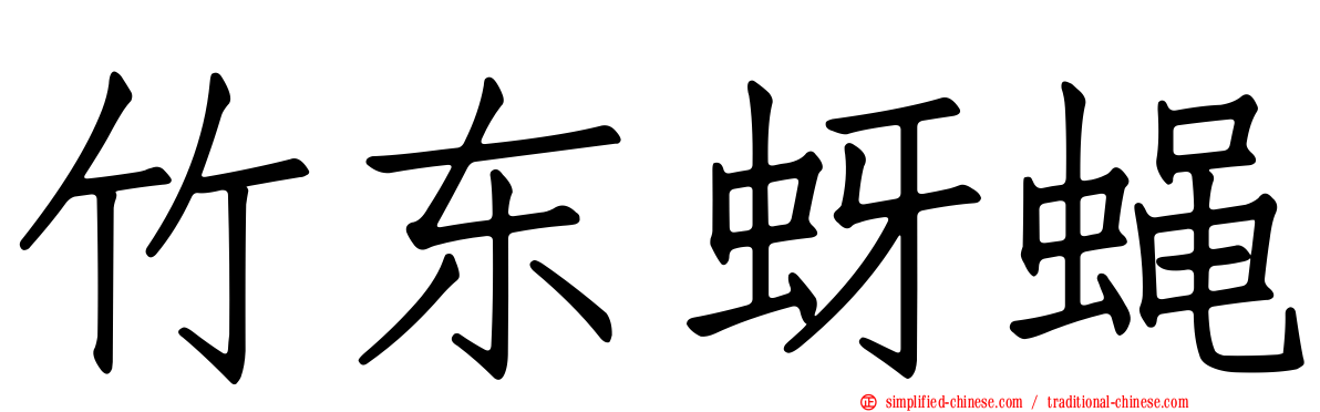 竹东蚜蝇