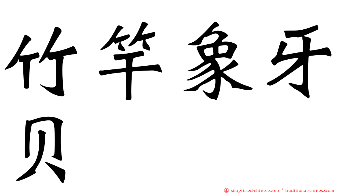 竹竿象牙贝