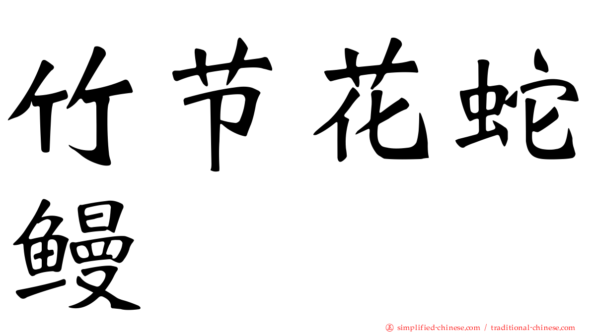 竹节花蛇鳗