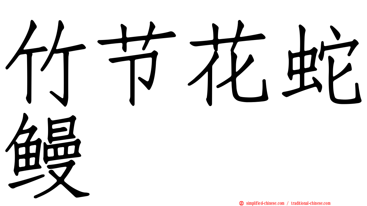 竹节花蛇鳗