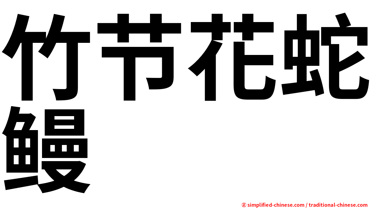 竹节花蛇鳗