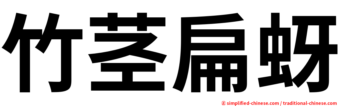 竹茎扁蚜