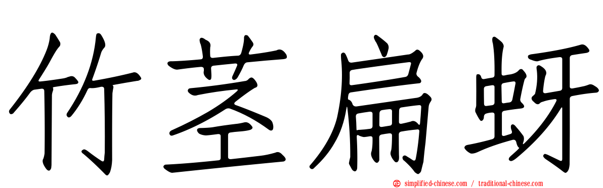 竹茎扁蚜