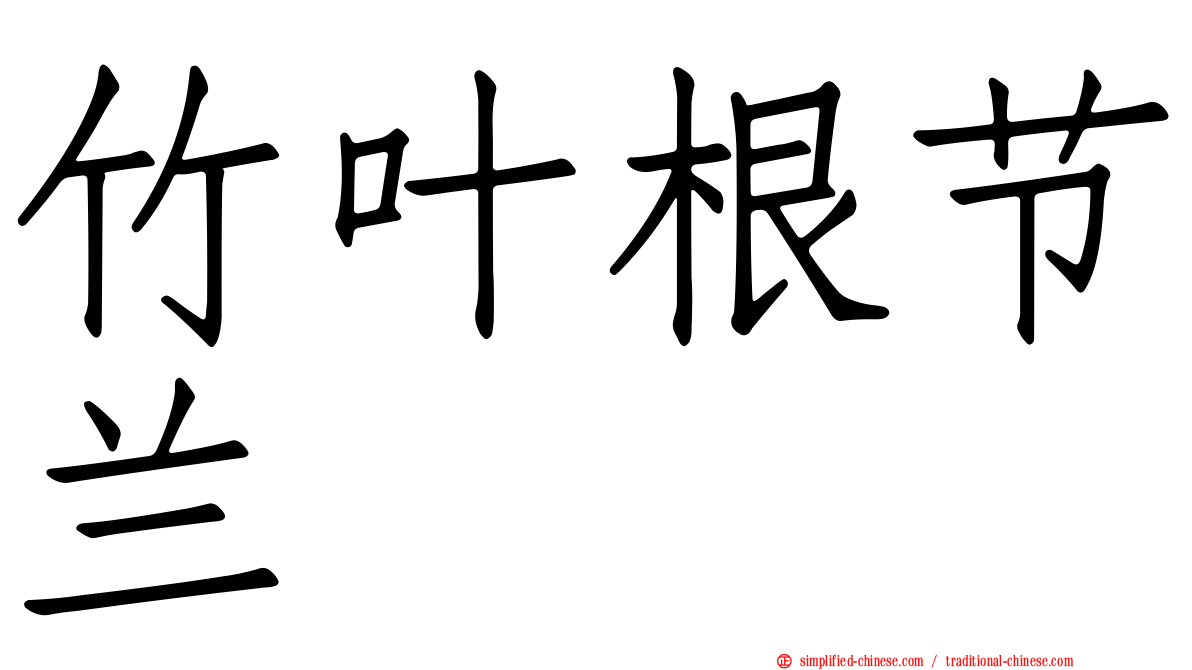 竹叶根节兰