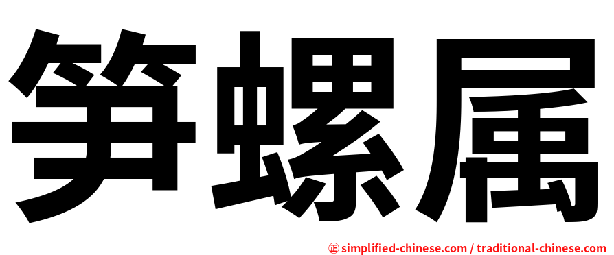 笋螺属