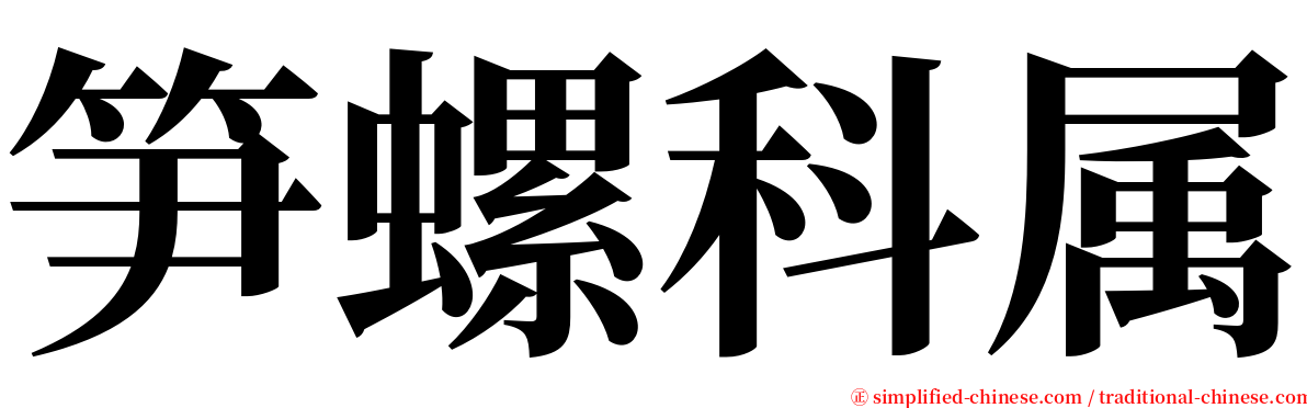 笋螺科属 serif font