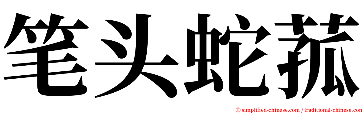 笔头蛇菰 serif font