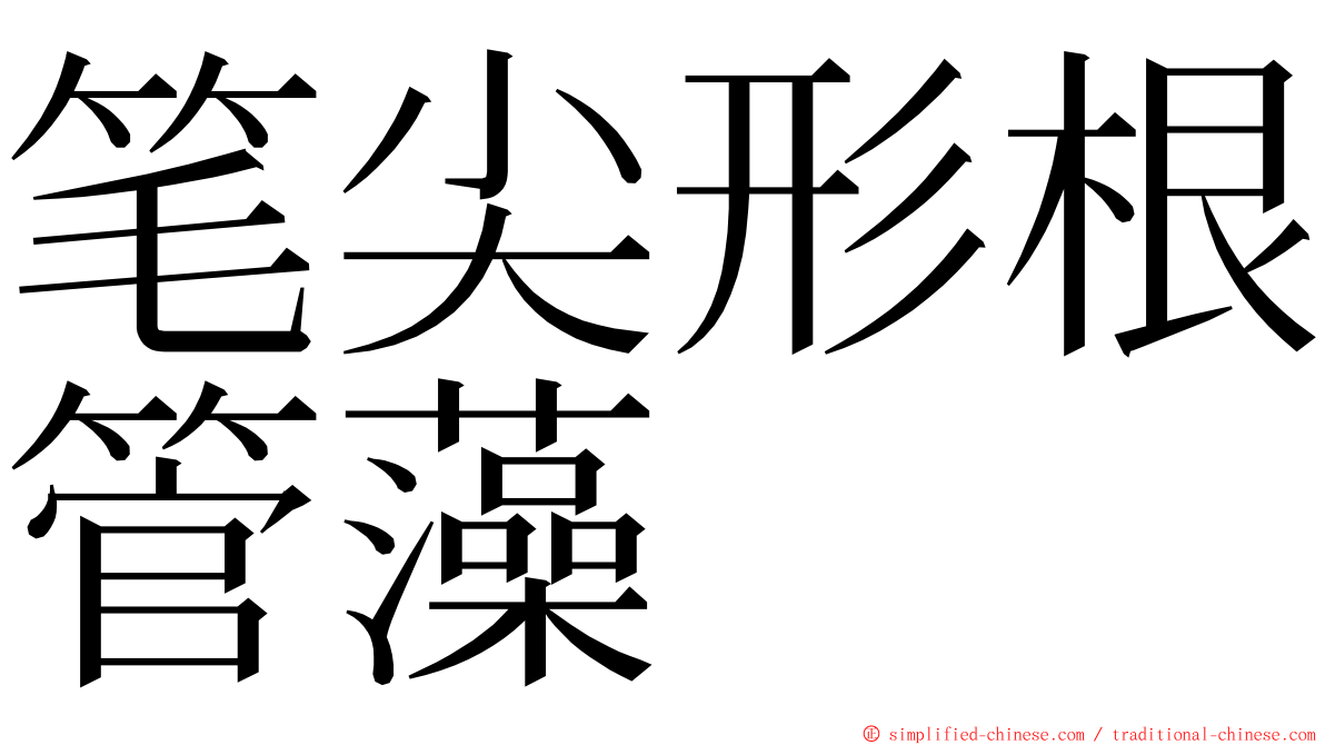 笔尖形根管藻 ming font
