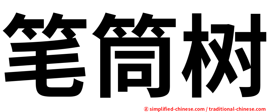 笔筒树