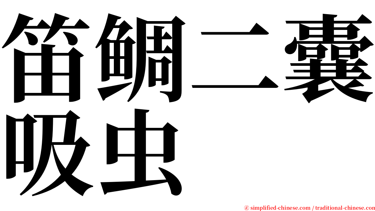 笛鲷二囊吸虫 serif font