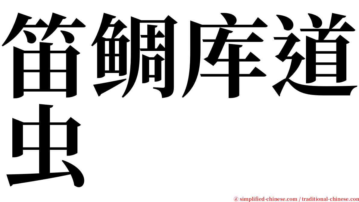 笛鲷库道虫 serif font