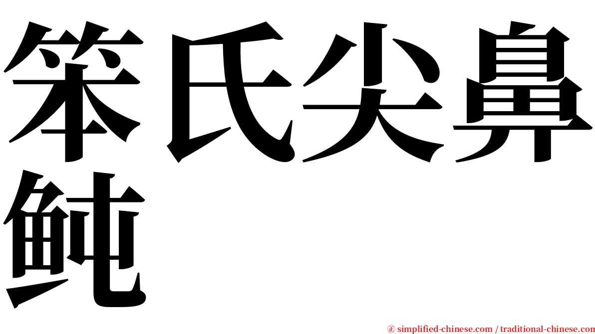 笨氏尖鼻鲀 serif font