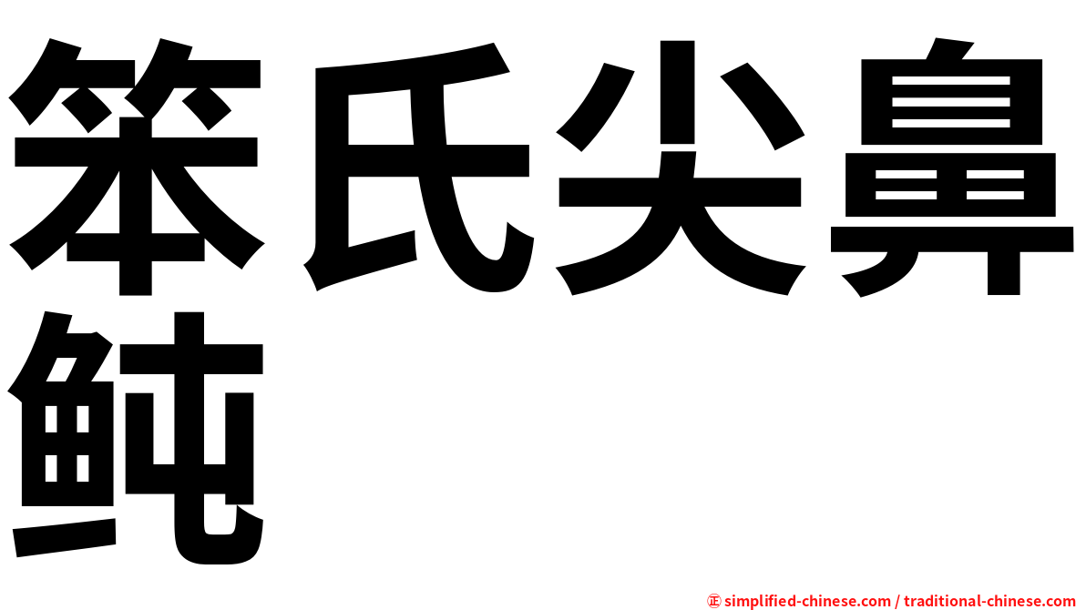笨氏尖鼻鲀