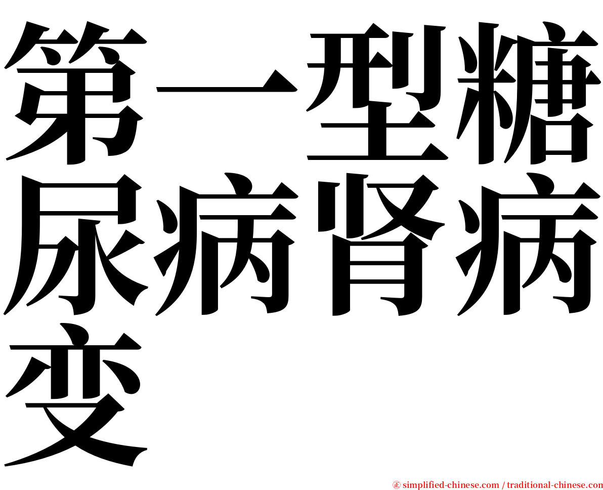 第一型糖尿病肾病变 serif font