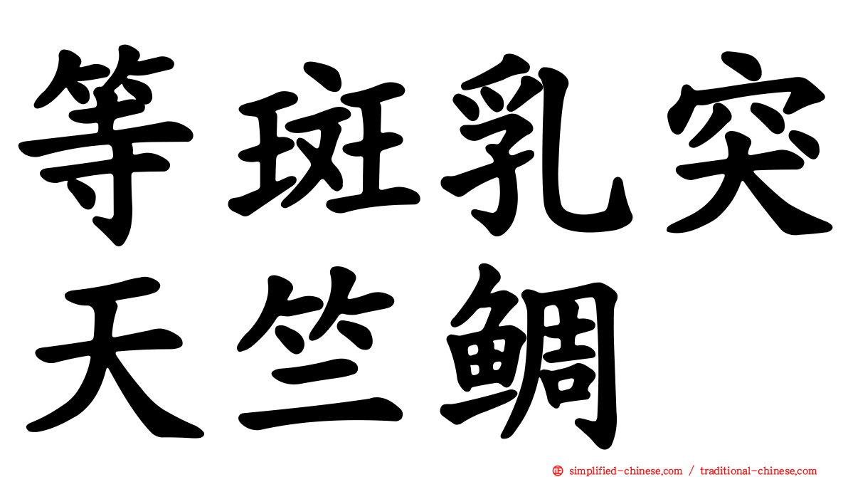 等斑乳突天竺鲷