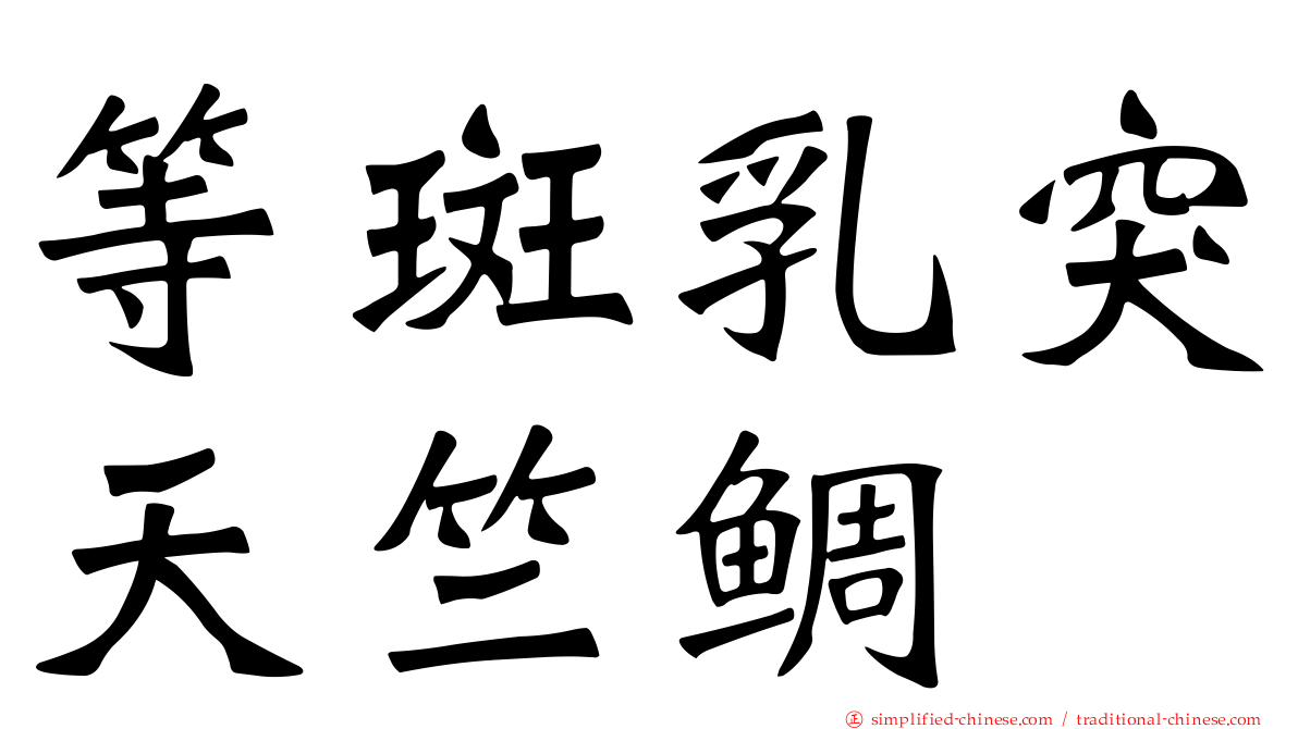 等斑乳突天竺鲷