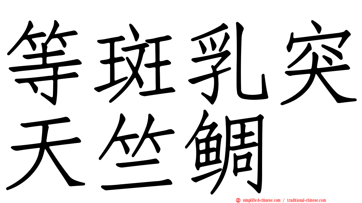 等斑乳突天竺鲷