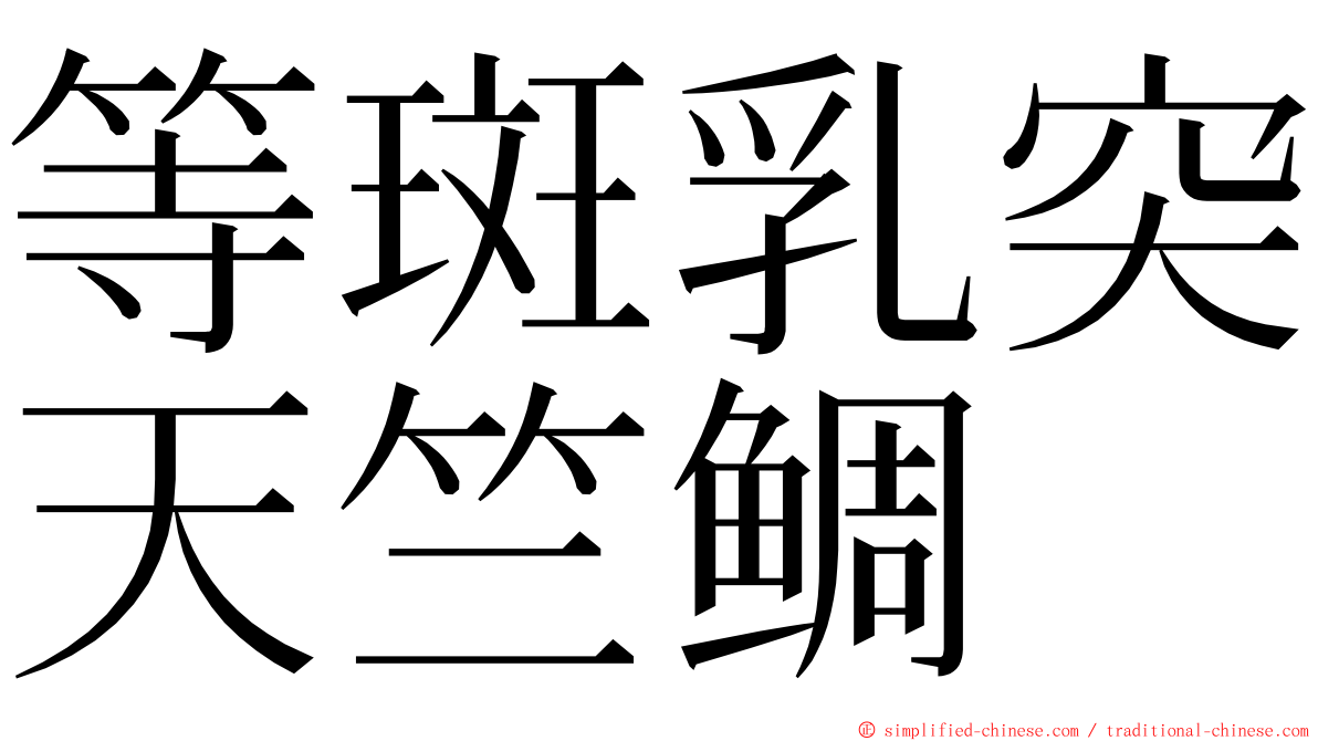 等斑乳突天竺鲷 ming font
