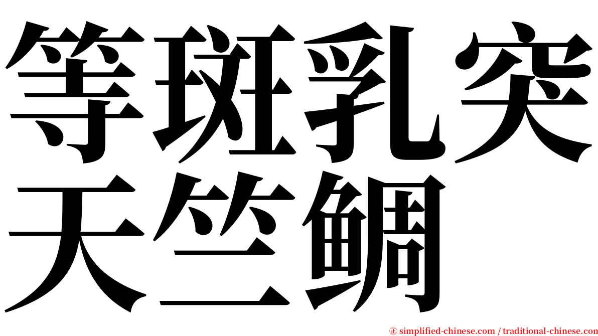 等斑乳突天竺鲷 serif font