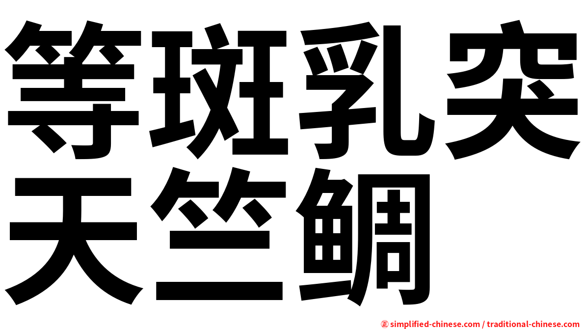 等斑乳突天竺鲷