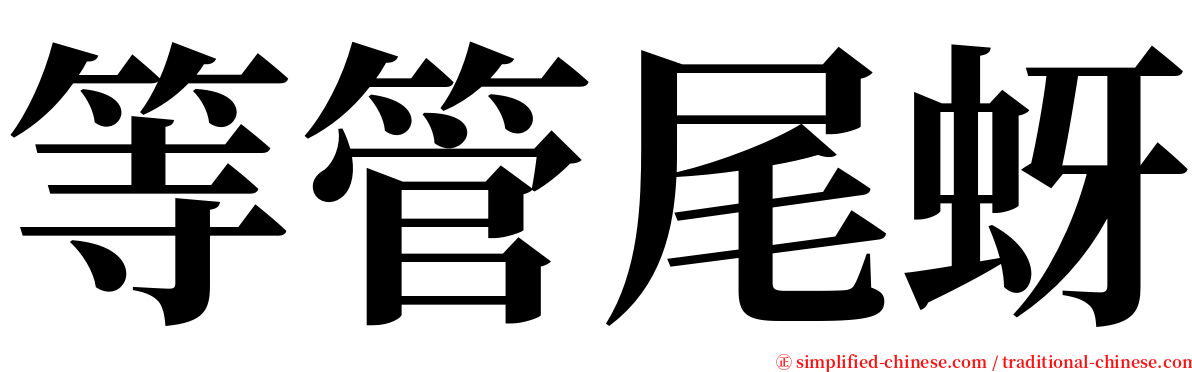 等管尾蚜 serif font
