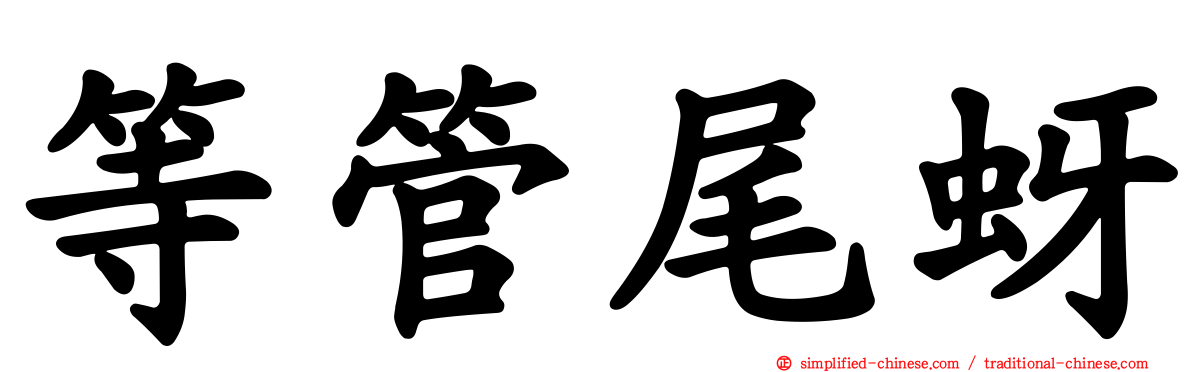等管尾蚜