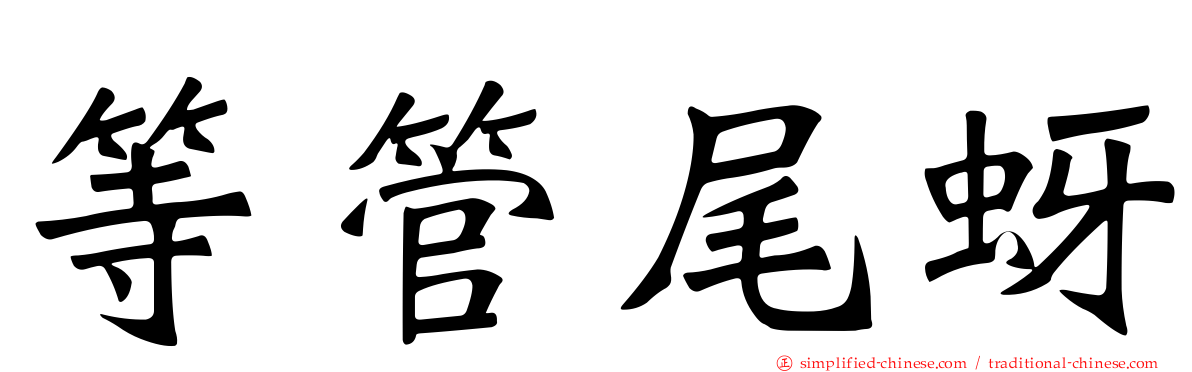 等管尾蚜