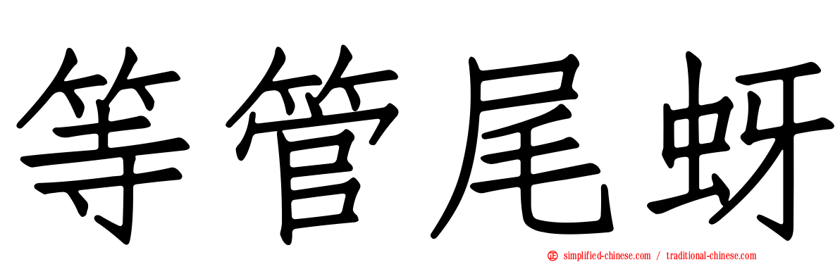 等管尾蚜