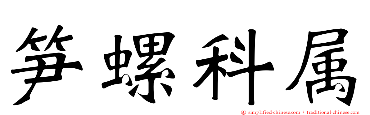 笋螺科属