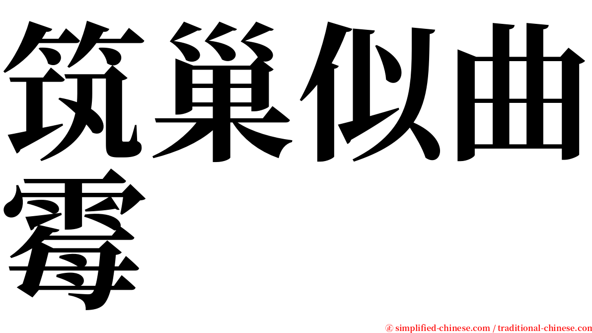 筑巢似曲霉 serif font