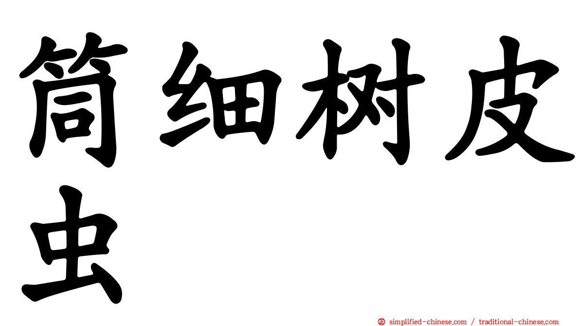 筒细树皮虫