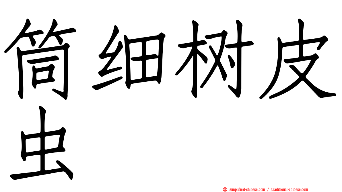 筒细树皮虫