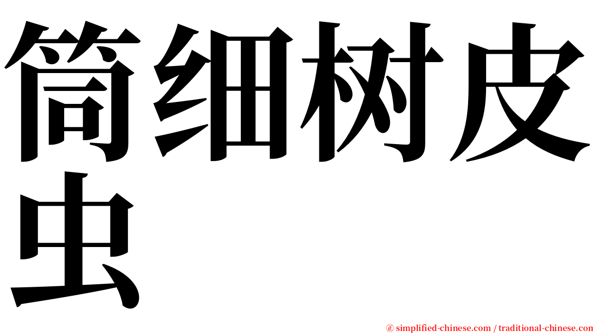 筒细树皮虫 serif font