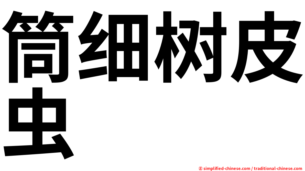 筒细树皮虫
