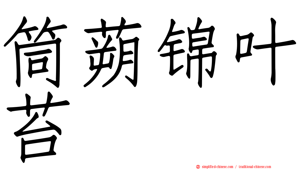筒蒴锦叶苔