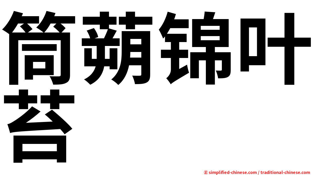筒蒴锦叶苔