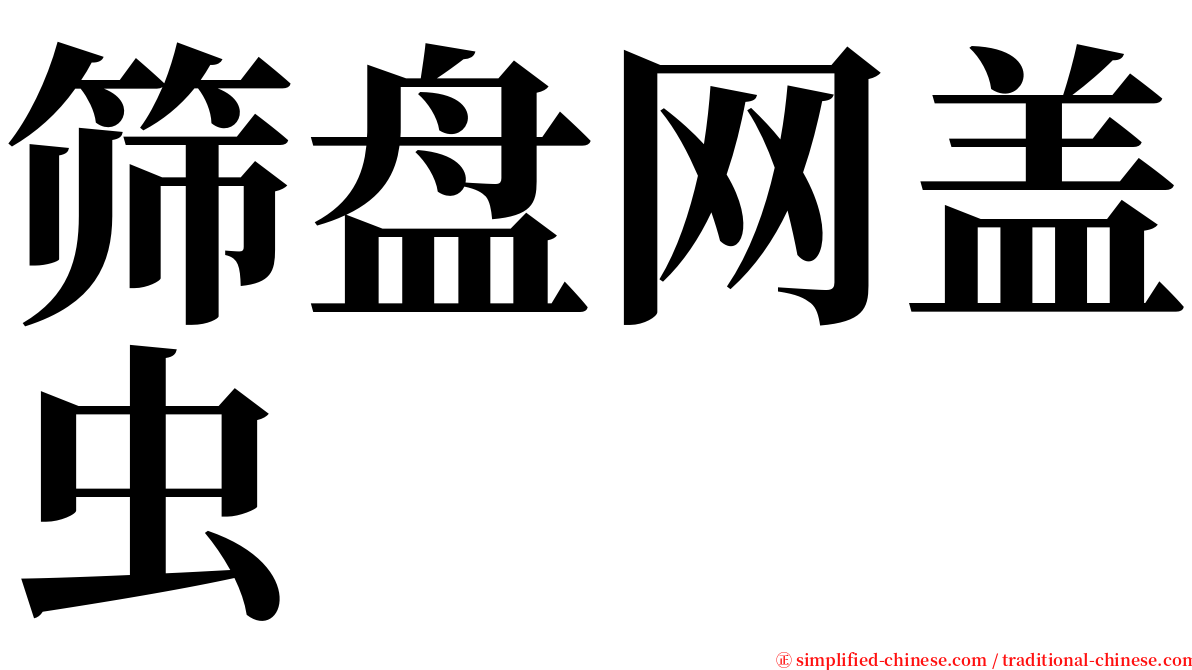 筛盘网盖虫 serif font