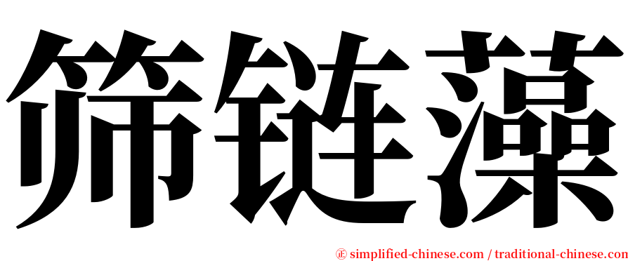 筛链藻 serif font