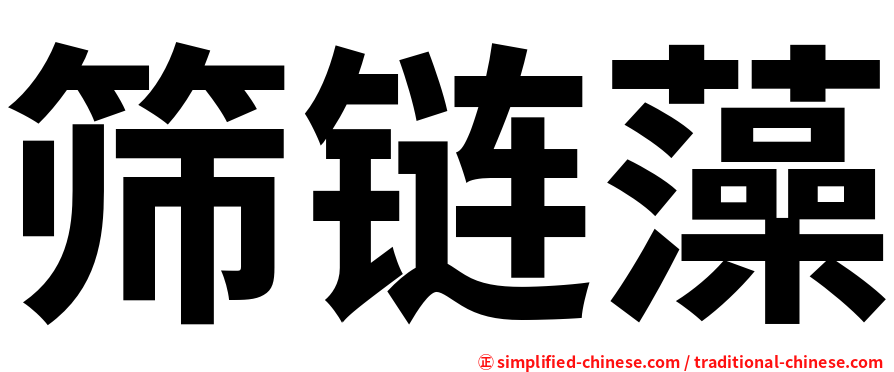 筛链藻