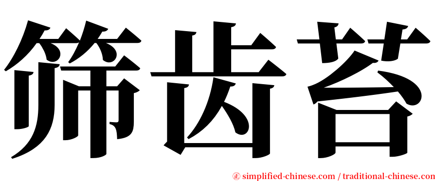 筛齿苔 serif font