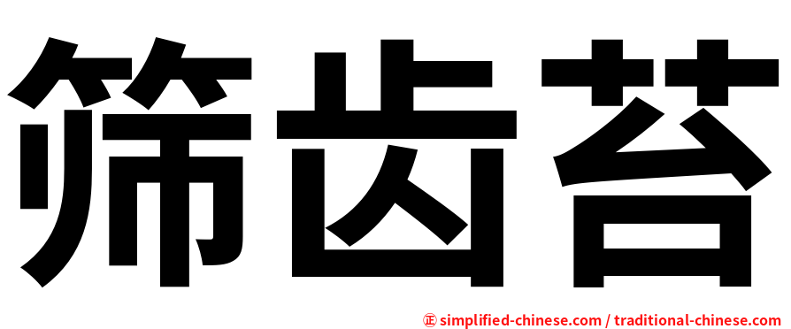 筛齿苔