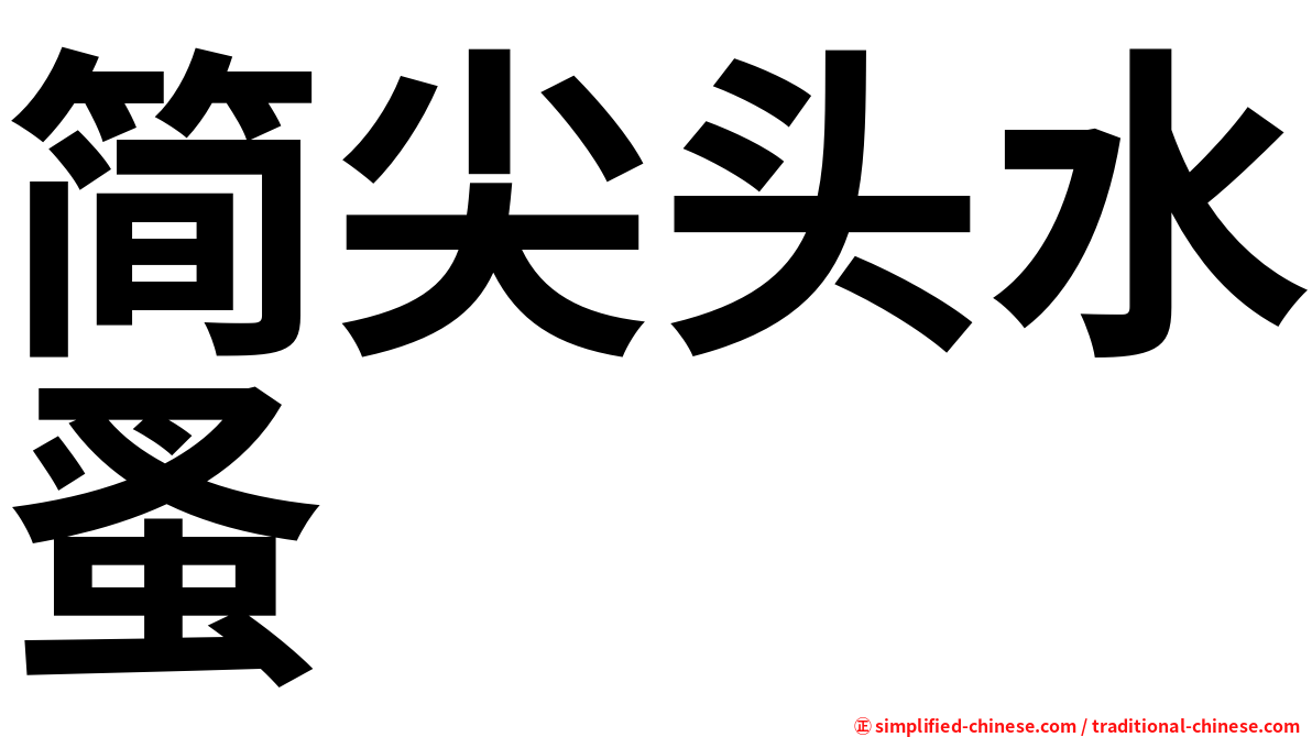 简尖头水蚤