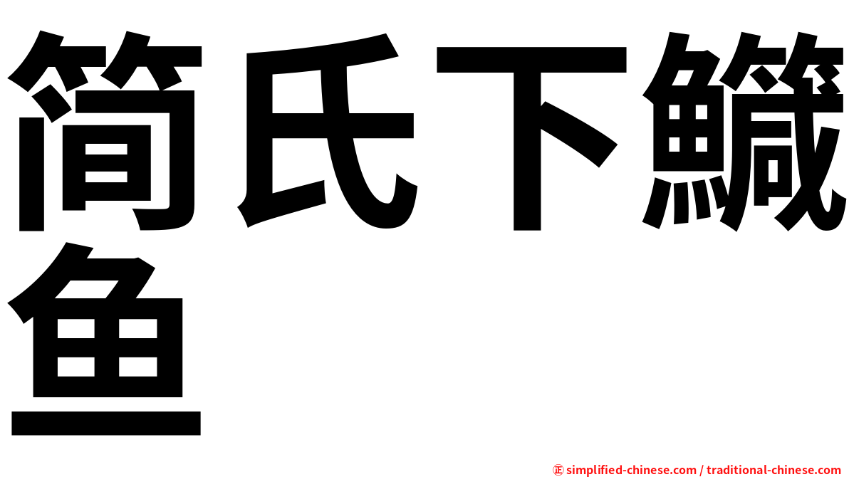 简氏下鱵鱼