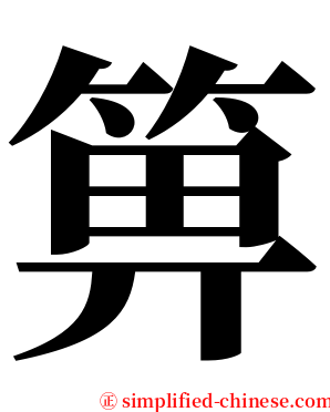 箅 serif font