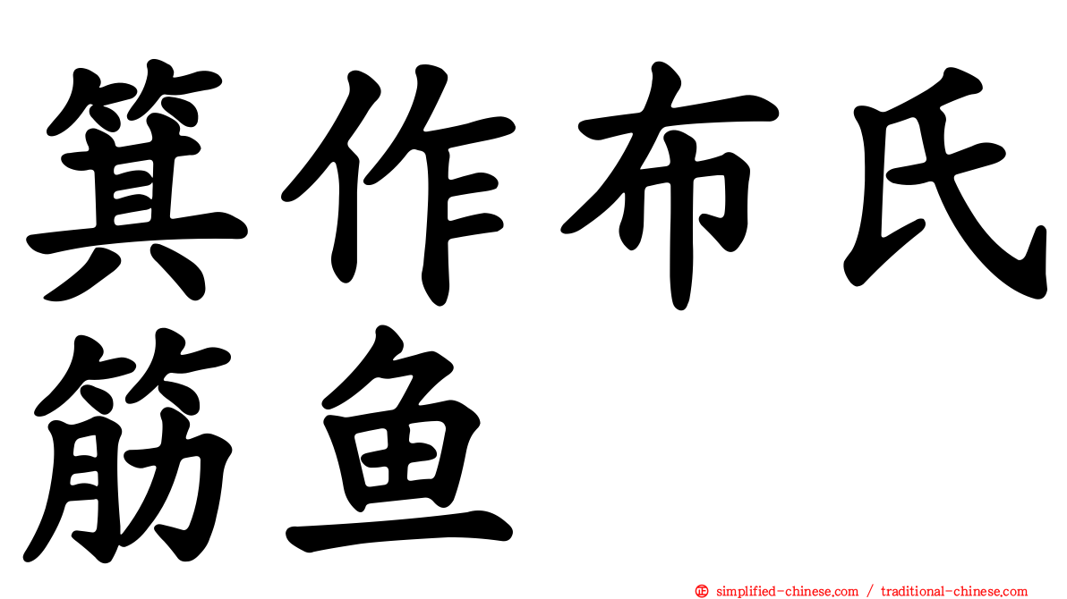 箕作布氏筋鱼