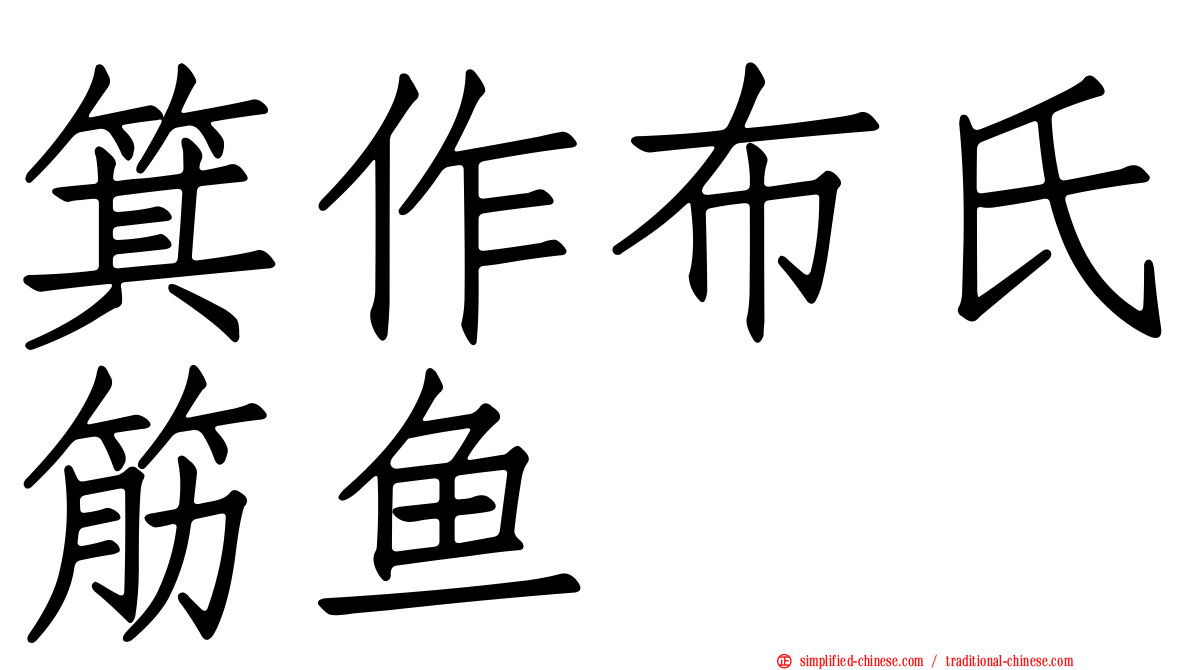 箕作布氏筋鱼