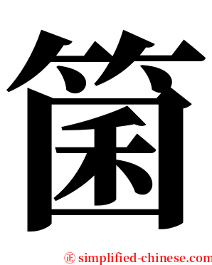 箘 serif font