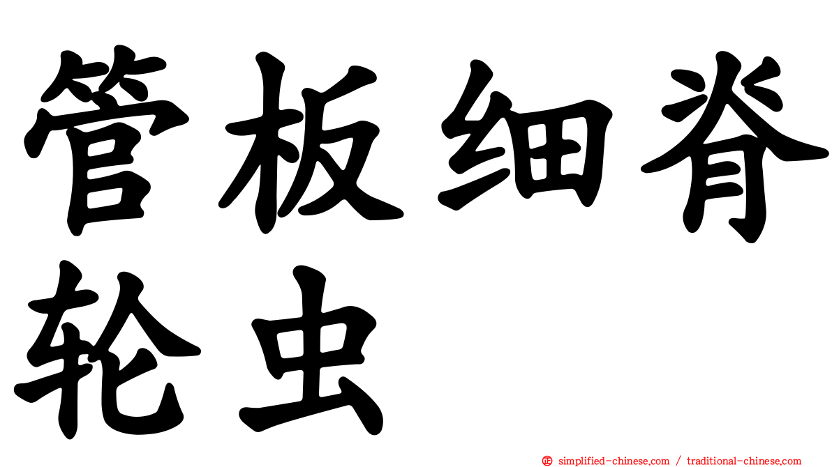 管板细脊轮虫