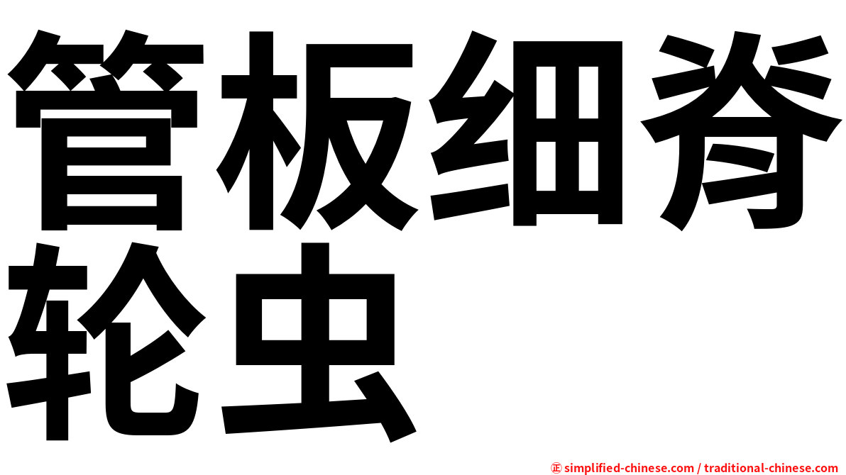 管板细脊轮虫