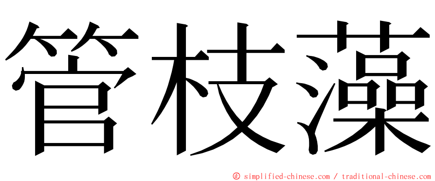 管枝藻 ming font